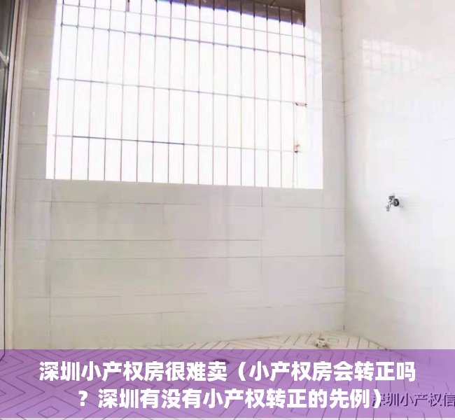 深圳小产权房很难卖（小产权房会转正吗？深圳有没有小产权转正的先例）