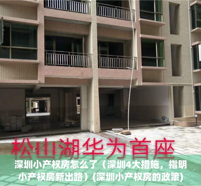 深圳小产权房怎么了（深圳4大措施，指明小产权房新出路）(深圳小产权房的政策)