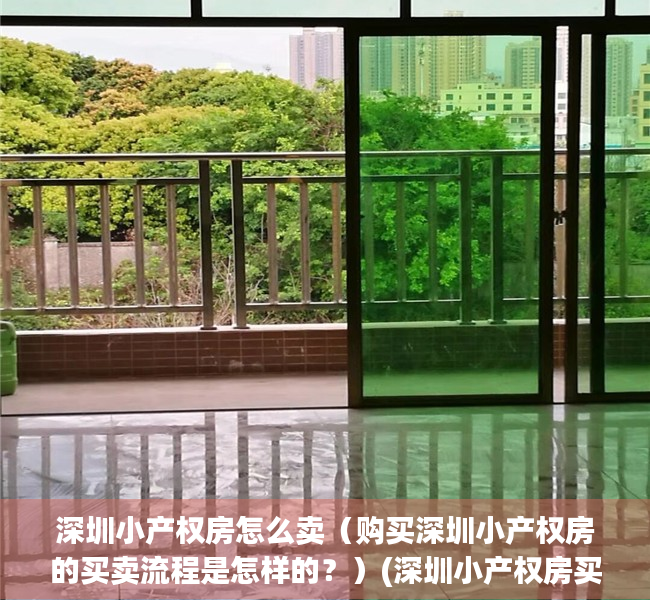 深圳小产权房怎么卖（购买深圳小产权房的买卖流程是怎样的？）(深圳小产权房买卖怎么样才能合法)