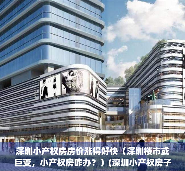 深圳小产权房房价涨得好快（深圳楼市或巨变，小产权房咋办？）(深圳小产权房子降价了吗)