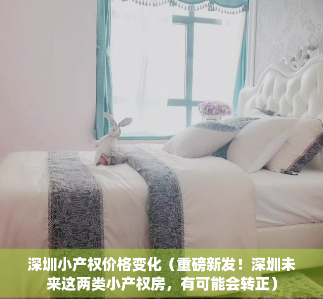 深圳小产权价格变化（重磅新发！深圳未来这两类小产权房，有可能会转正）