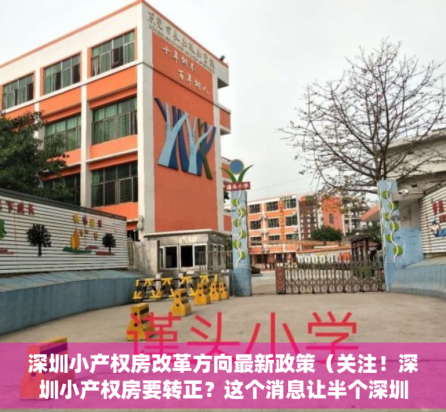 深圳小产权房改革方向最新政策（关注！深圳小产权房要转正？这个消息让半个深圳沸腾了！）