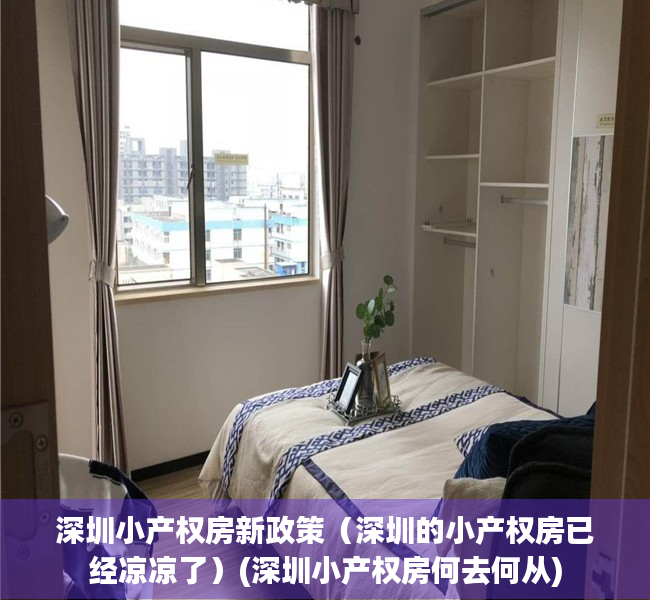 深圳小产权房新政策（深圳的小产权房已经凉凉了）(深圳小产权房何去何从)