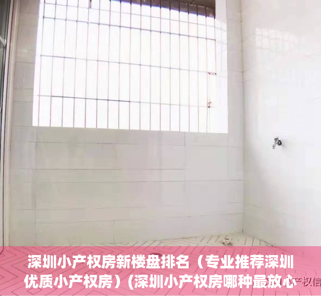 深圳小产权房新楼盘排名（专业推荐深圳优质小产权房）(深圳小产权房哪种最放心)