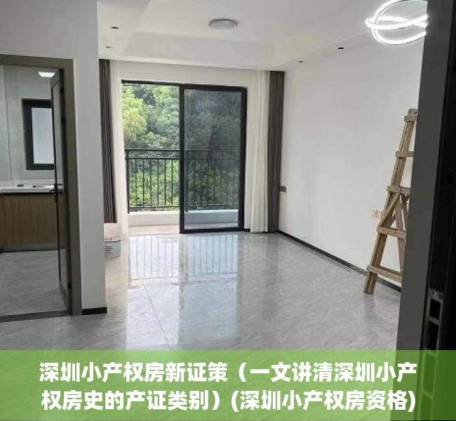 深圳小产权房新证策（一文讲清深圳小产权房史的产证类别）(深圳小产权房资格)