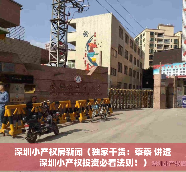 深圳小产权房新闻（独家干货：蔡蔡 讲透深圳小产权投资必看法则！）