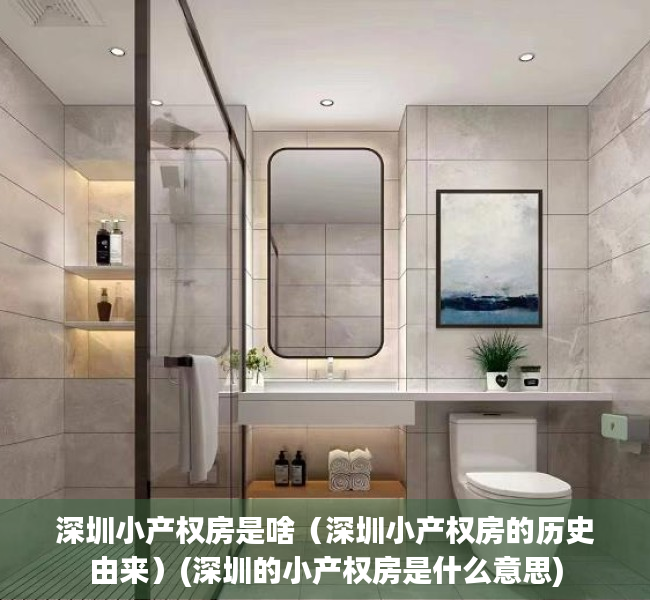 深圳小产权房是啥（深圳小产权房的历史由来）(深圳的小产权房是什么意思)