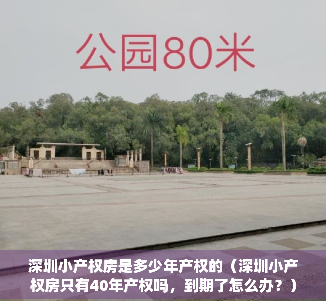深圳小产权房是多少年产权的（深圳小产权房只有40年产权吗，到期了怎么办？）
