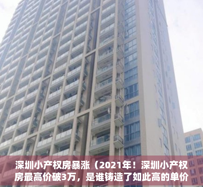 深圳小产权房暴涨（2021年！深圳小产权房最高价破3万，是谁铸造了如此高的单价？）