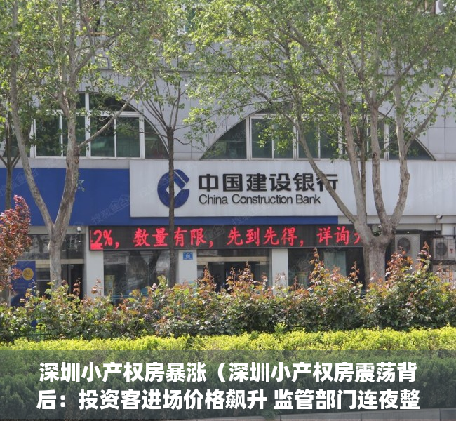深圳小产权房暴涨（深圳小产权房震荡背后：投资客进场价格飙升 监管部门连夜整治）
