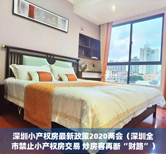 深圳小产权房最新政策2020两会（深圳全市禁止小产权房交易 炒房客再断“财路”）