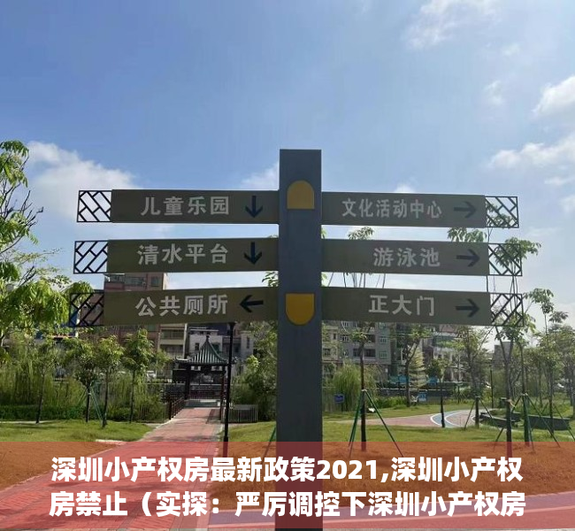 深圳小产权房最新政策2021,深圳小产权房禁止（实探：严厉调控下深圳小产权房火了 不按面积按套卖）