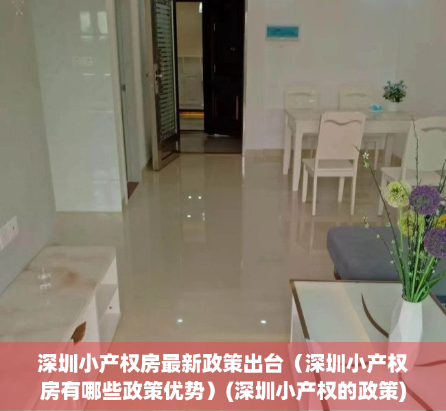 深圳小产权房最新政策出台（深圳小产权房有哪些政策优势）(深圳小产权的政策)