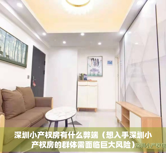 深圳小产权房有什么弊端（想入手深圳小产权房的群体需面临巨大风险）