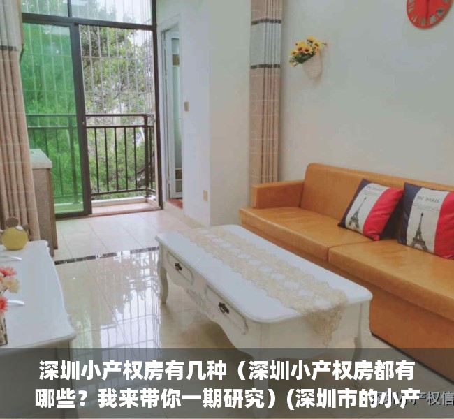 深圳小产权房有几种（深圳小产权房都有哪些？我来带你一期研究）(深圳市的小产权房)