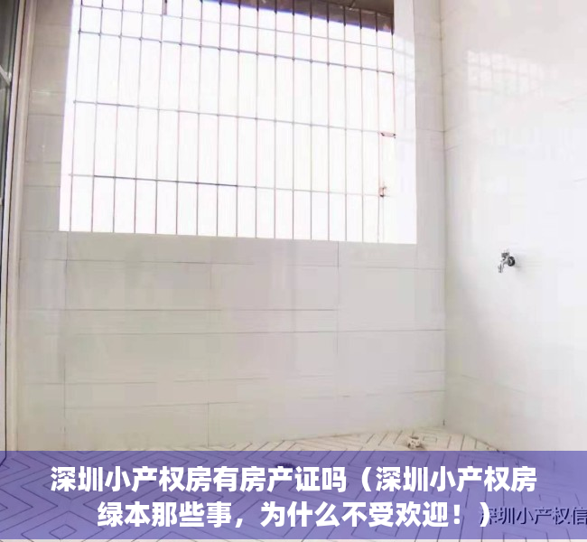 深圳小产权房有房产证吗（深圳小产权房绿本那些事，为什么不受欢迎！）