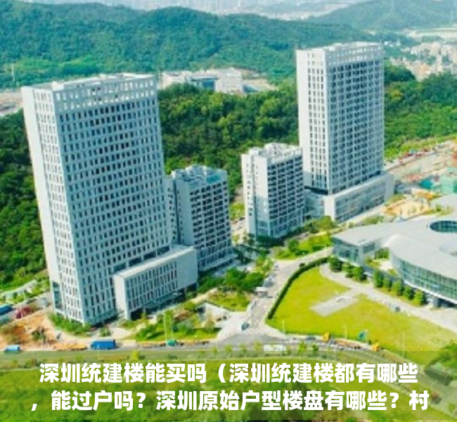 深圳统建楼能买吗（深圳统建楼都有哪些，能过户吗？深圳原始户型楼盘有哪些？村委统建楼有吗？）