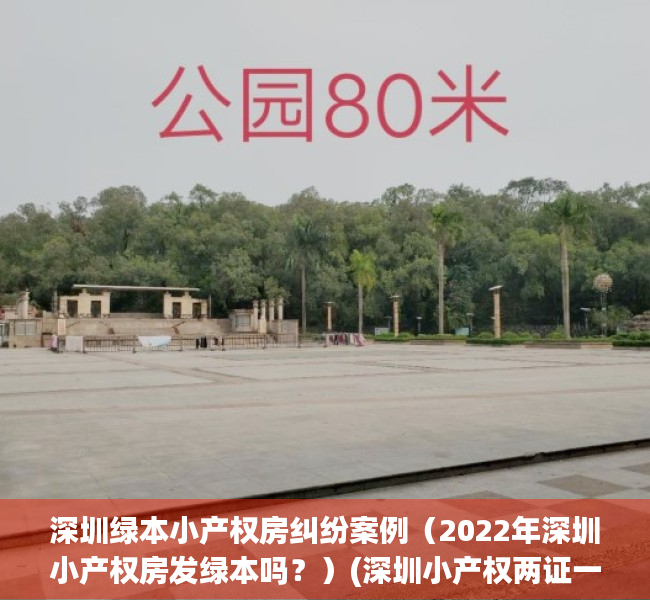 深圳绿本小产权房纠纷案例（2022年深圳小产权房发绿本吗？）(深圳小产权两证一书和绿本)