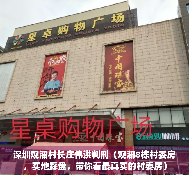 深圳观澜村长庄伟洪判刑（观澜8栋村委房，实地踩盘，带你看最真实的村委房）