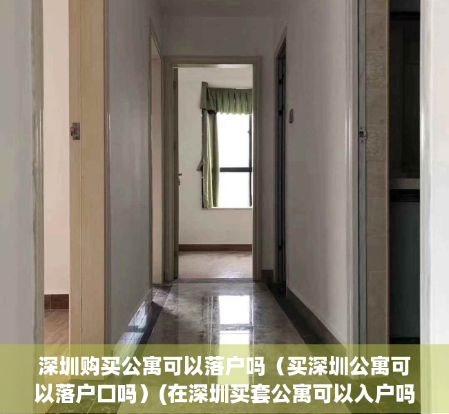 深圳购买公寓可以落户吗（买深圳公寓可以落户口吗）(在深圳买套公寓可以入户吗?)