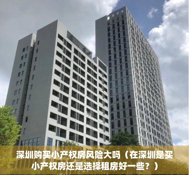 深圳购买小产权房风险大吗（在深圳是买小产权房还是选择租房好一些？）
