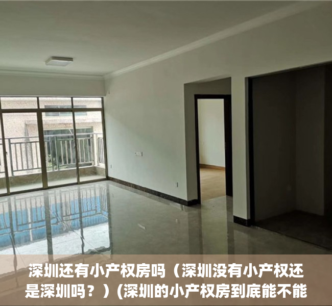深圳还有小产权房吗（深圳没有小产权还是深圳吗？）(深圳的小产权房到底能不能买)