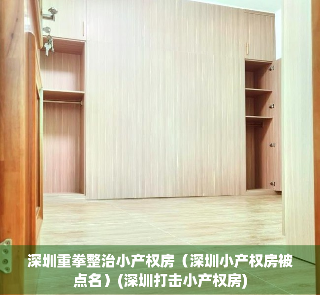 深圳重拳整治小产权房（深圳小产权房被点名）(深圳打击小产权房)