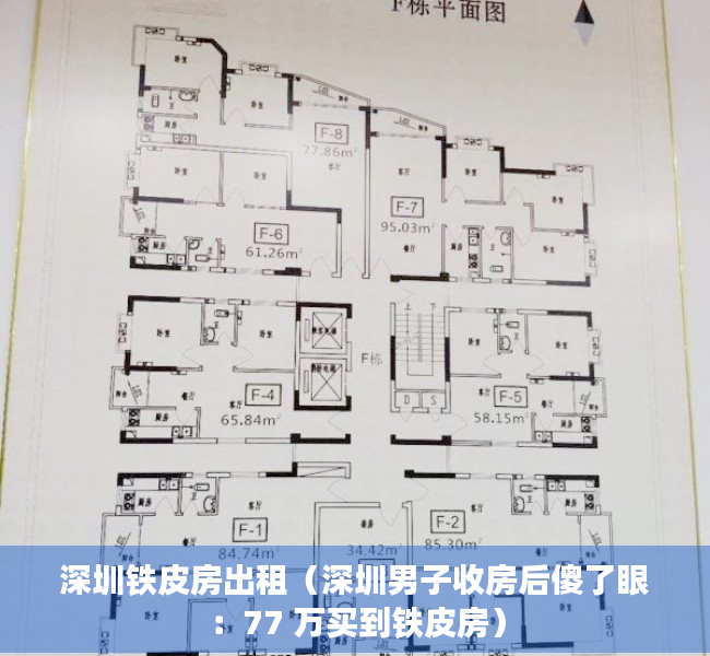 深圳铁皮房出租（深圳男子收房后傻了眼：77 万买到铁皮房）