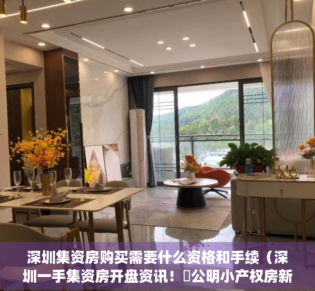 深圳集资房购买需要什么资格和手续（深圳一手集资房开盘资讯！​公明小产权房新盘《竹园雅居》光明农民房哪里性价比最高最便宜？马头山学校，马田小学公明第一小学红花山小学）