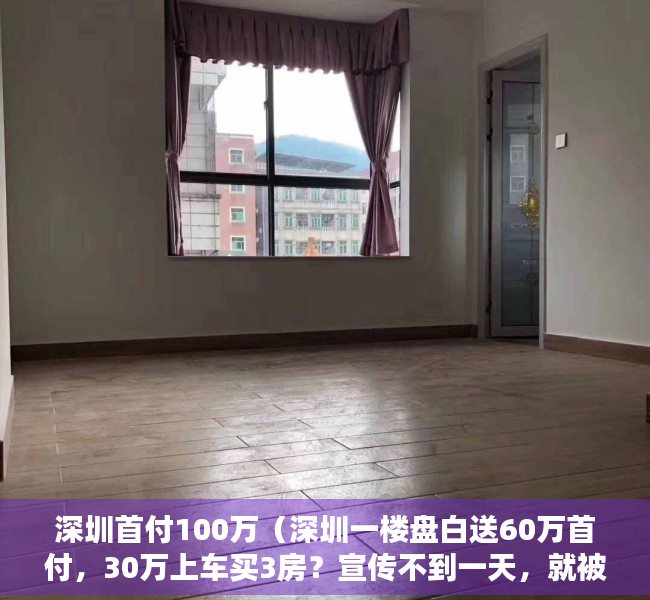 深圳首付100万（深圳一楼盘白送60万首付，30万上车买3房？宣传不到一天，就被住建局查处了……）