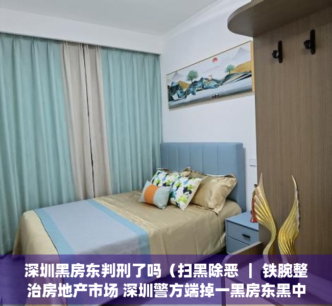 深圳黑房东判刑了吗（扫黑除恶 ｜ 铁腕整治房地产市场 深圳警方端掉一黑房东黑中介恶势力团伙）