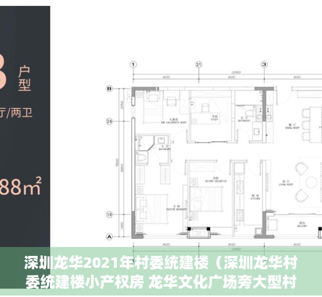 深圳龙华2021年村委统建楼（深圳龙华村委统建楼小产权房 龙华文化广场旁大型村委统建楼 （金苹果）4号线清湖地铁口旁在卖的精装修一手村委统建楼小产权房安全保障）