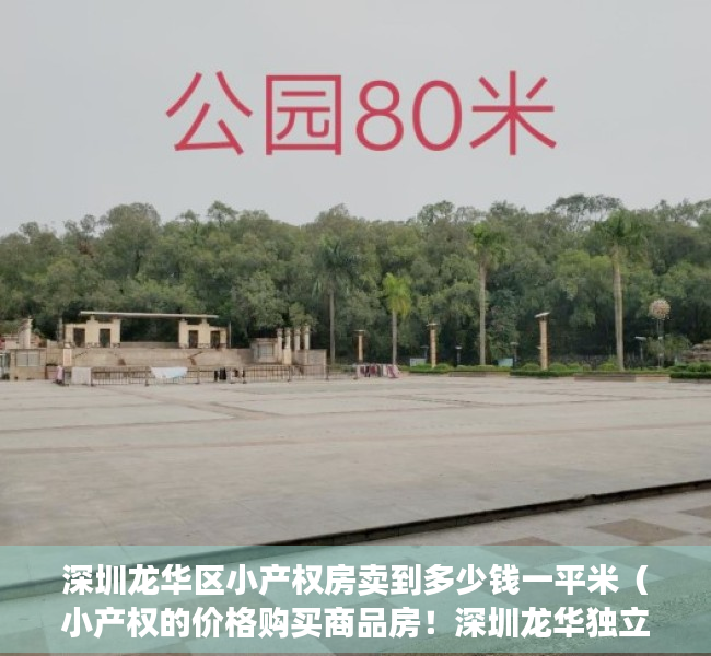 深圳龙华区小产权房卖到多少钱一平米（小产权的价格购买商品房！深圳龙华独立红本公寓单价18万起《裕龙城》​龙华中心区独立红本房！有房产证！一房二房三房全部精装修交房）