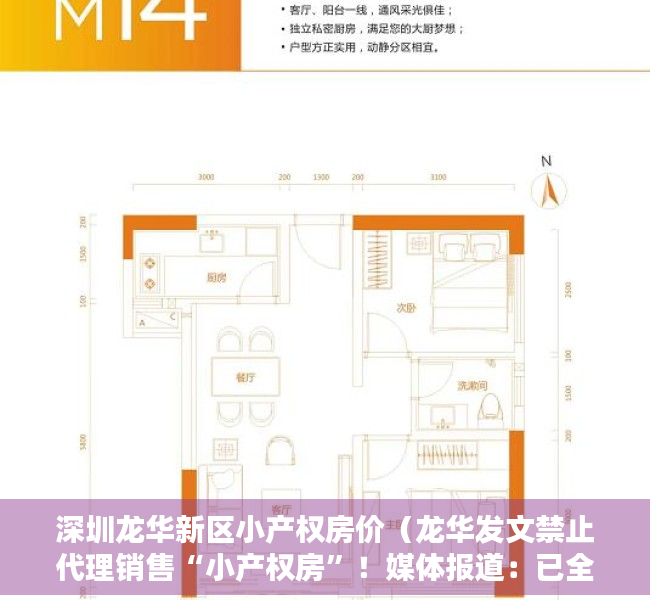 深圳龙华新区小产权房价（龙华发文禁止代理销售“小产权房”！媒体报道：已全市要求）