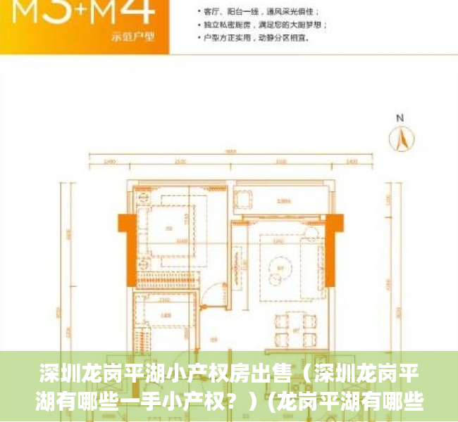 深圳龙岗平湖小产权房出售（深圳龙岗平湖有哪些一手小产权？）(龙岗平湖有哪些小区)
