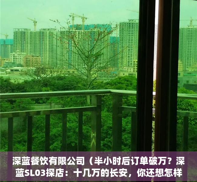 深蓝餐饮有限公司（半小时后订单破万？深蓝SL03探店：十几万的长安，你还想怎样？）