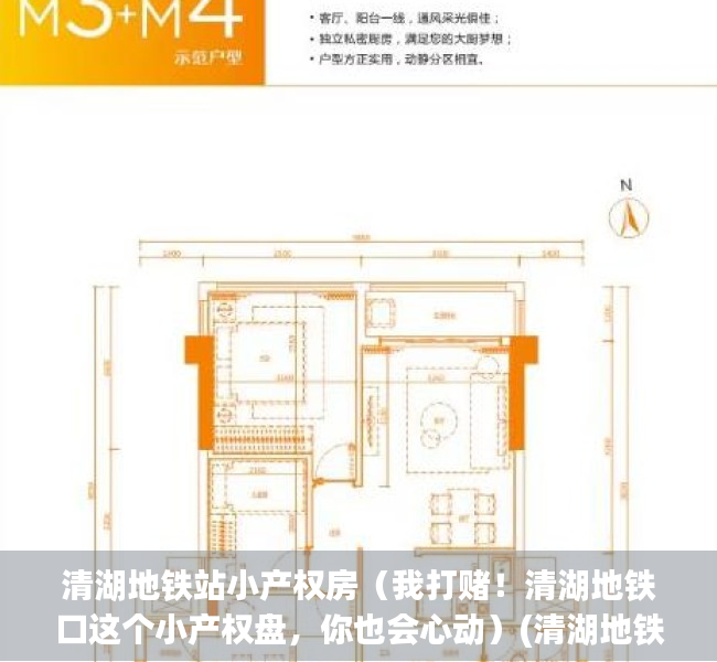 清湖地铁站小产权房（我打赌！清湖地铁口这个小产权盘，你也会心动）(清湖地铁站附近的小产权房)