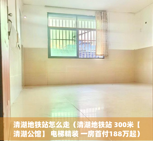 清湖地铁站怎么走（清湖地铁站 300米【清湖公馆】 电梯精装 一房首付188万起）