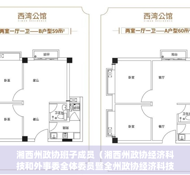 湘西州政协班子成员（湘西州政协经济科技和外事委全体委员暨全州政协经济科技和外事委工作会召开）