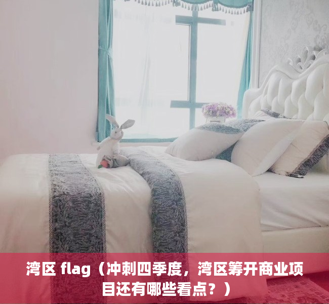 湾区 flag（冲刺四季度，湾区筹开商业项目还有哪些看点？）