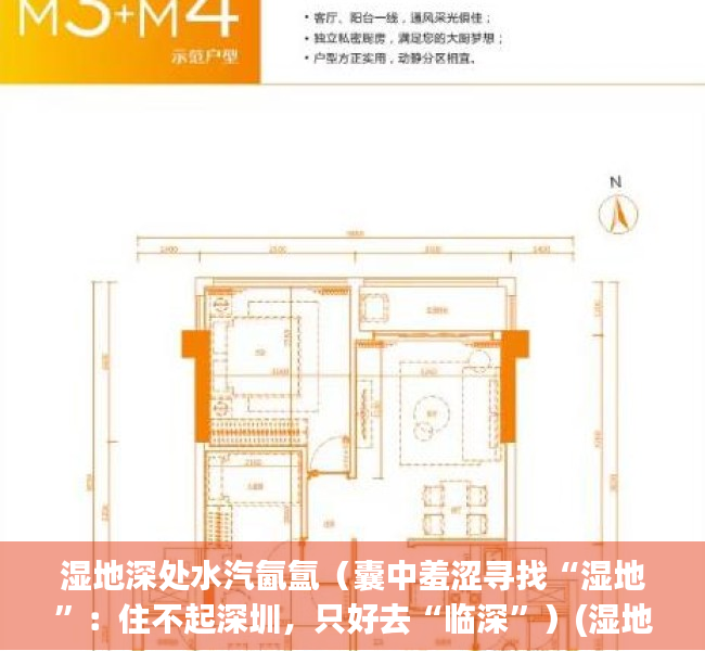 湿地深处水汽氤氲（囊中羞涩寻找“湿地”：住不起深圳，只好去“临深”）(湿地公园 深圳)