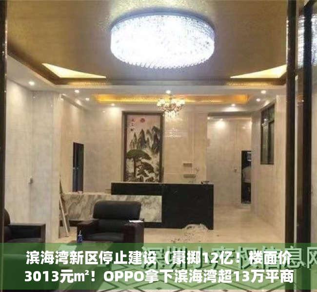 滨海湾新区停止建设（豪掷12亿！楼面价3013元㎡！OPPO拿下滨海湾超13万平商住地）