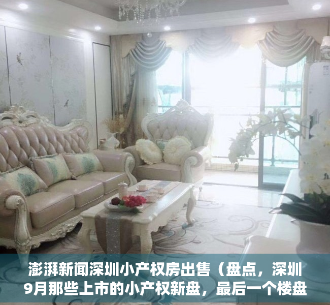 澎湃新闻深圳小产权房出售（盘点，深圳9月那些上市的小产权新盘，最后一个楼盘居然赠送学位“？）