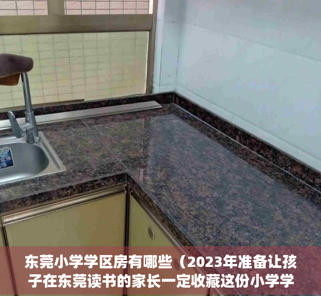 东莞小学学区房有哪些（2023年准备让孩子在东莞读书的家长一定收藏这份小学学区划分图）