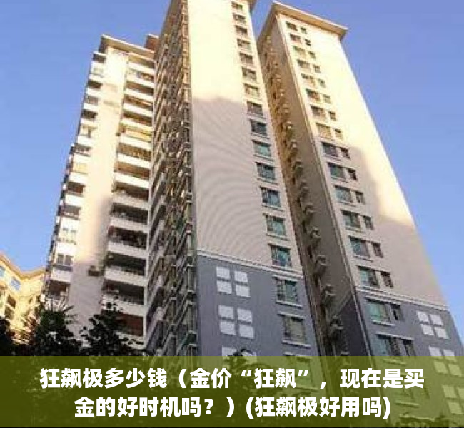 狂飙极多少钱（金价“狂飙”，现在是买金的好时机吗？）(狂飙极好用吗)