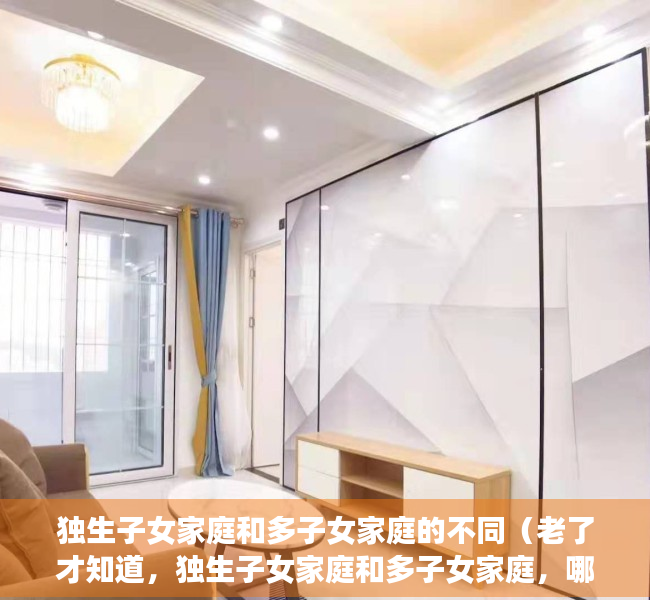 独生子女家庭和多子女家庭的不同（老了才知道，独生子女家庭和多子女家庭，哪一个过的更好，很现实）