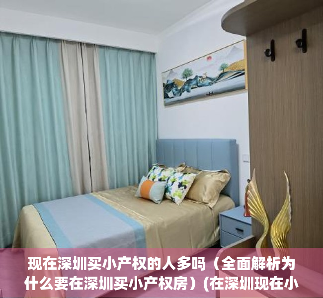 现在深圳买小产权的人多吗（全面解析为什么要在深圳买小产权房）(在深圳现在小产权的房子可以买吗?)