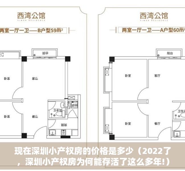 现在深圳小产权房的价格是多少（2022了，深圳小产权房为何能存活了这么多年!）