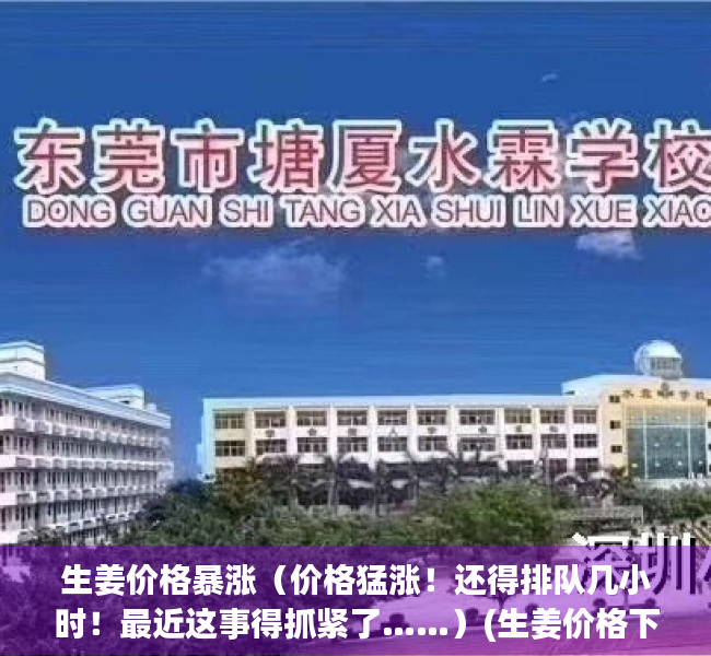 生姜价格暴涨（价格猛涨！还得排队几小时！最近这事得抓紧了……）(生姜价格下跌)