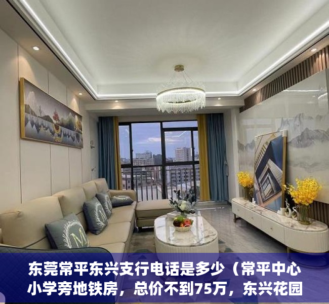 东莞常平东兴支行电话是多少（常平中心小学旁地铁房，总价不到75万，东兴花园到底能不能买？）